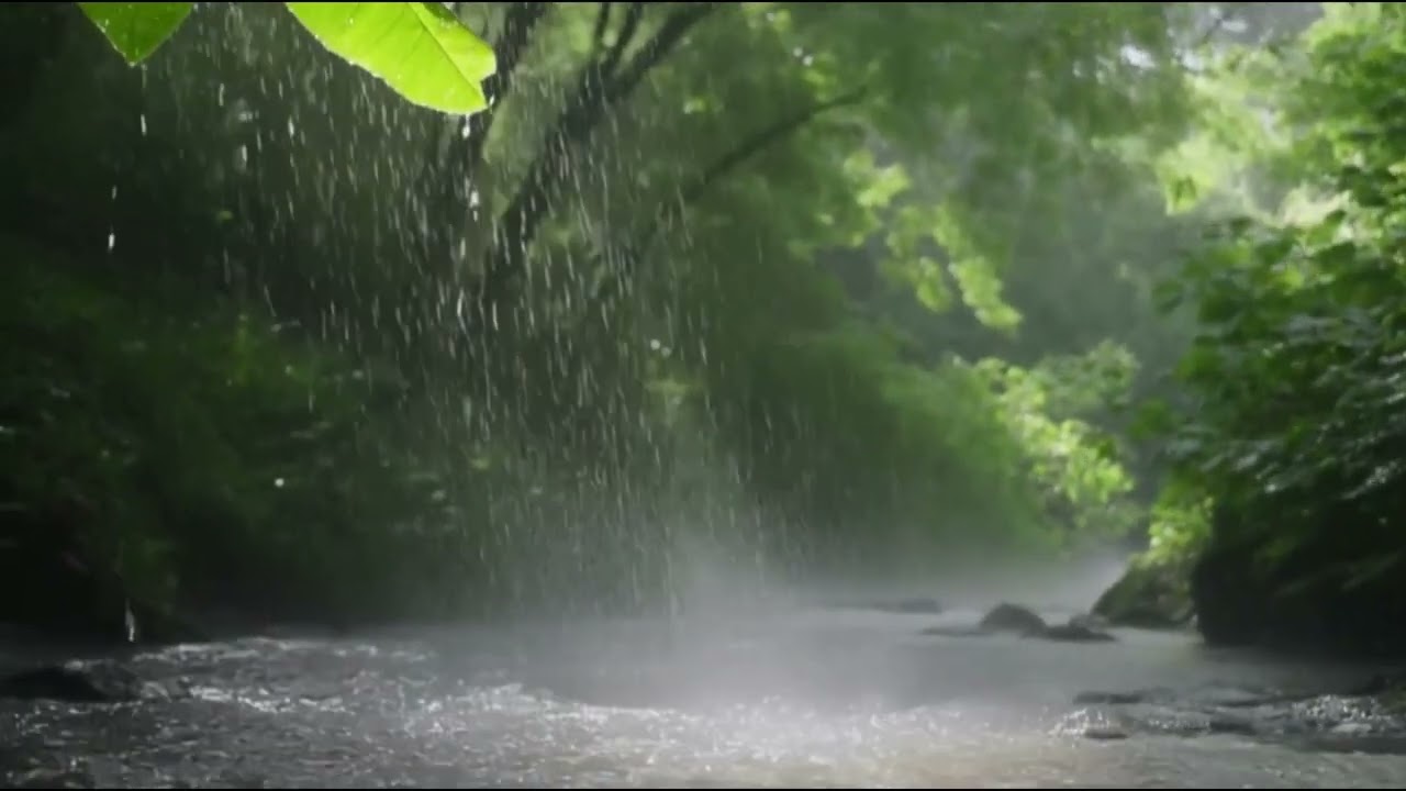 Heavy rain sounds with distant thunder | For meditation, sleep, relaxation and reading