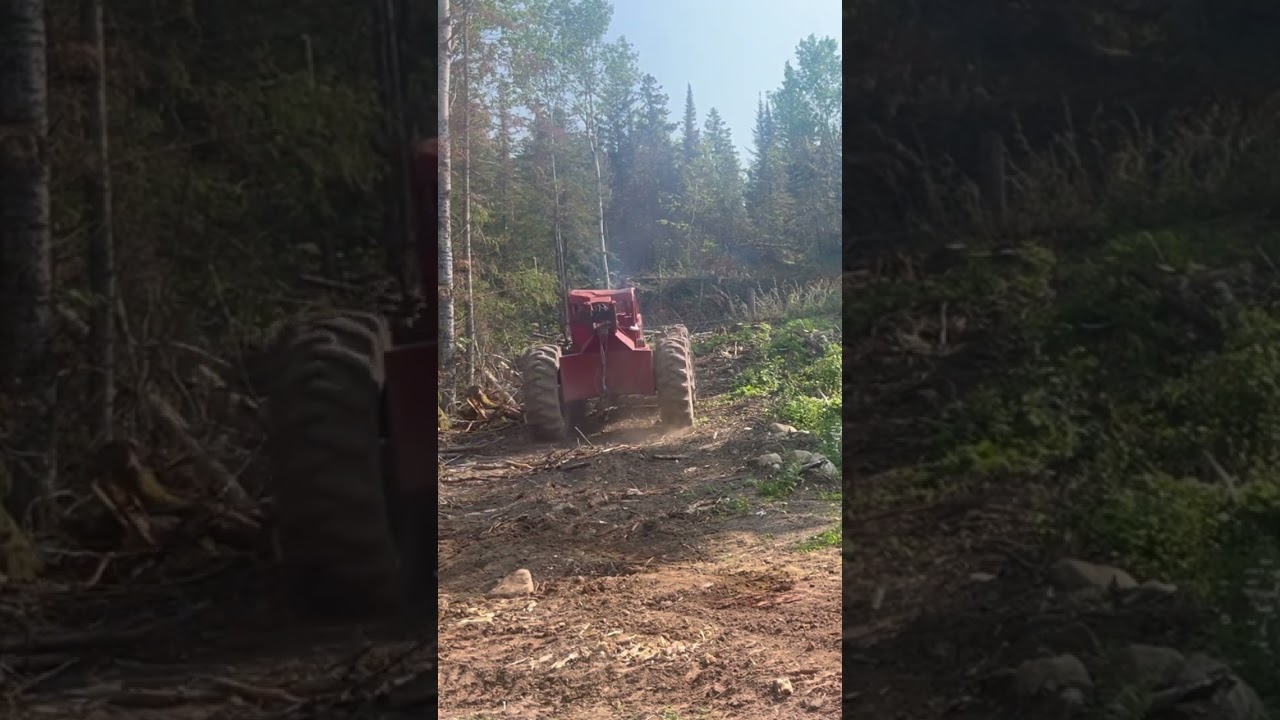 230 timber jack log skidder 