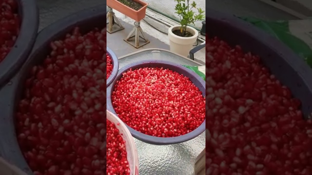 ¿Cómo hacer ponche de granada agria? Receta paso a paso! Ponche de Granada Agria, 28 Agosto 2022.