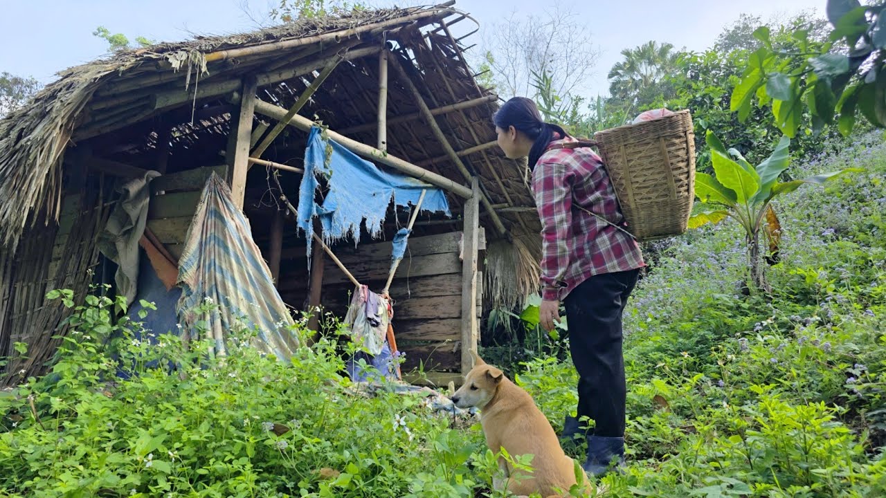 What will happen to the single mother when she moves in alone to live in the abandoned house