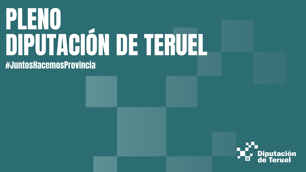 Pleno ordinario de febrero de 2026