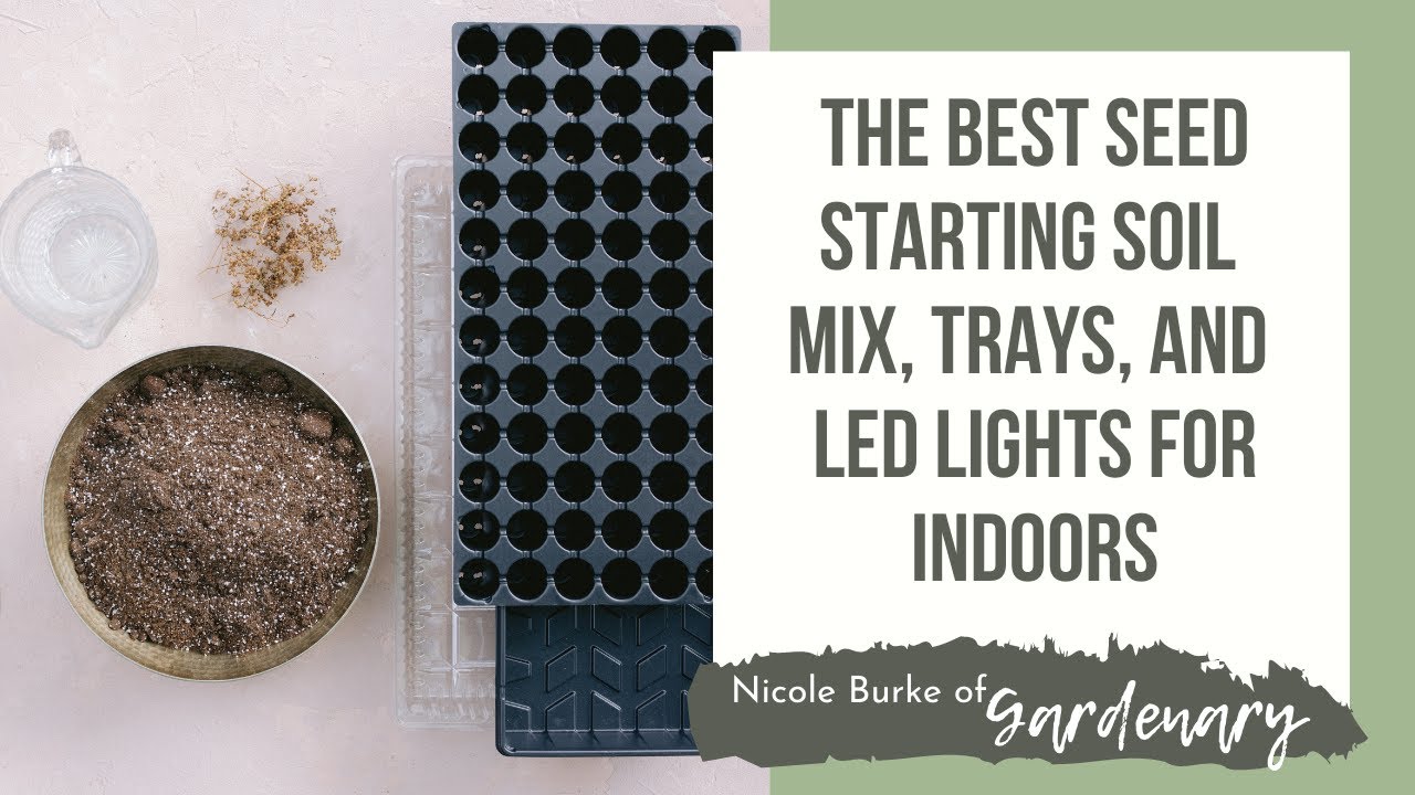 The Best Seed Starting Soil Mix, Trays, and LED Lights for Indoors
