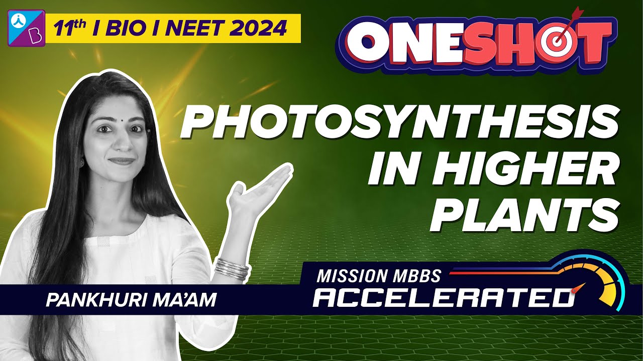 Photosynthesis in Higher Plants Class 11 Biology One Shot | NEET 2023 Preparation | Pankhuri Ma'am
