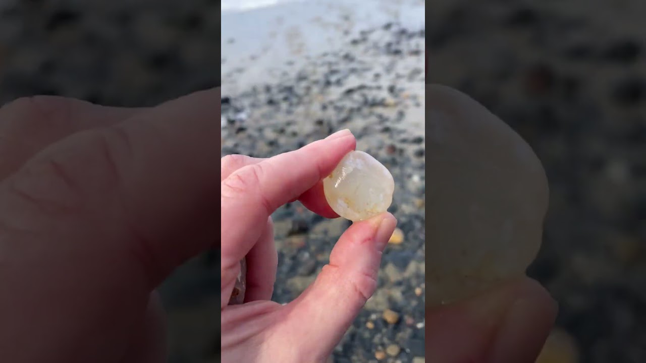 Oregon Beach Agate! #thesubmissivestone #oregoncoast #rockhounding