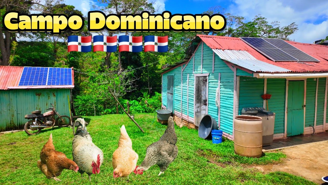 Explorando el campo: naturaleza Dominicana 4K