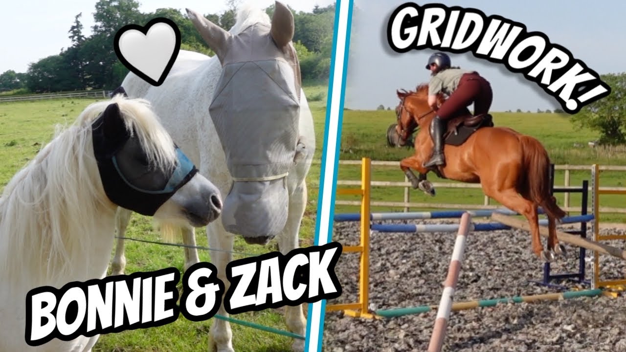 Catch Up With The Horses 🤍