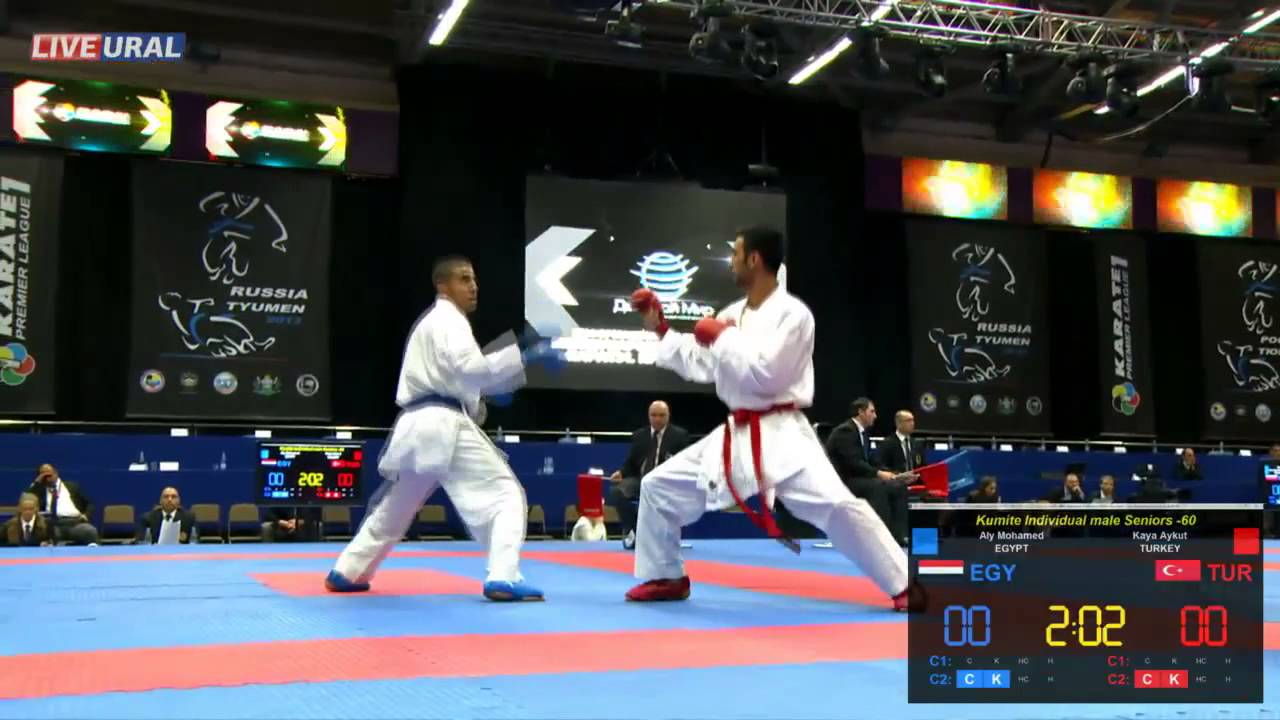 Karate1 Premier League, Tyumen 2013 Kumite Individual male Seniors -60
