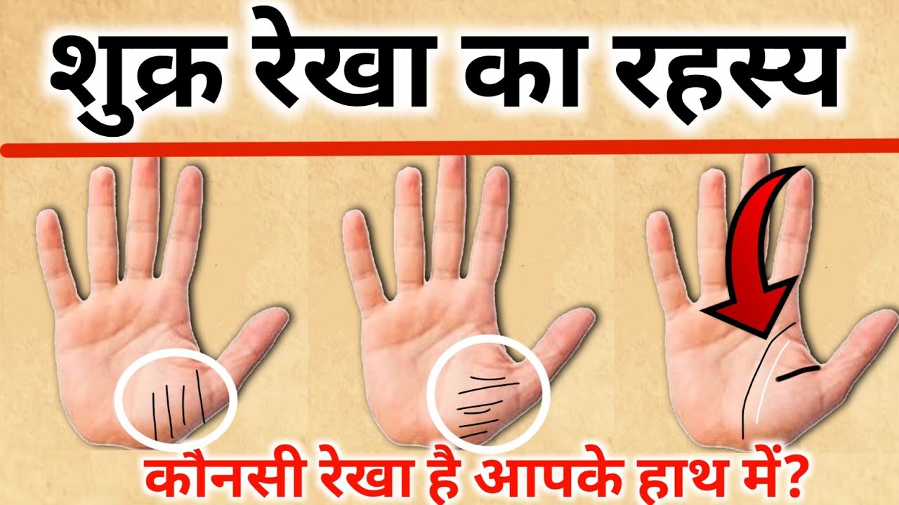 Shukra Parvat Par Khadi Rekha | Shukra Parvat Par Line | Shukra Parvat In Palmistry | #palmistry