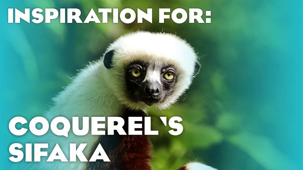 3 Real Sifaka Habitats! (Planet Zoo: Zookeepers Animal Pack Inspiration)