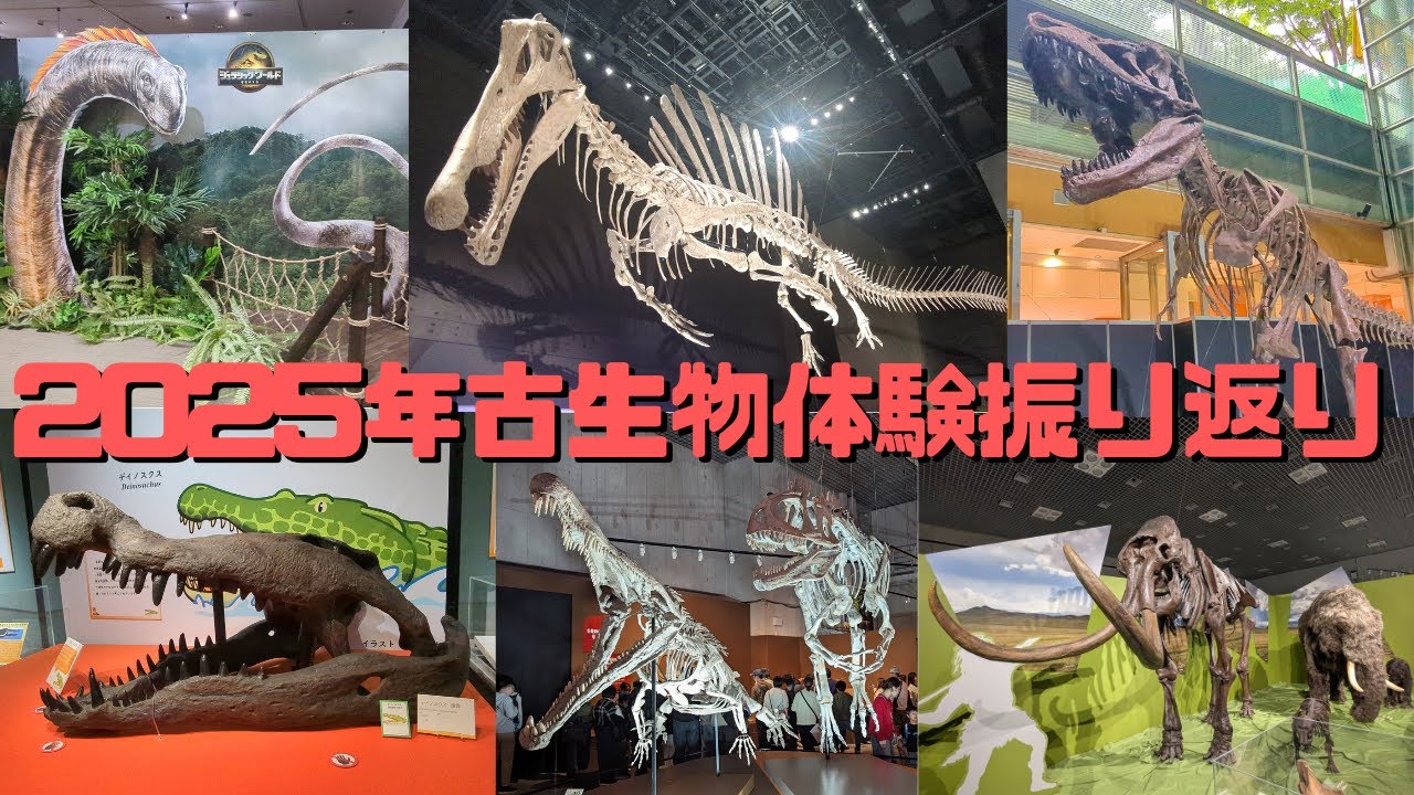 2025年古生物体験まとめ