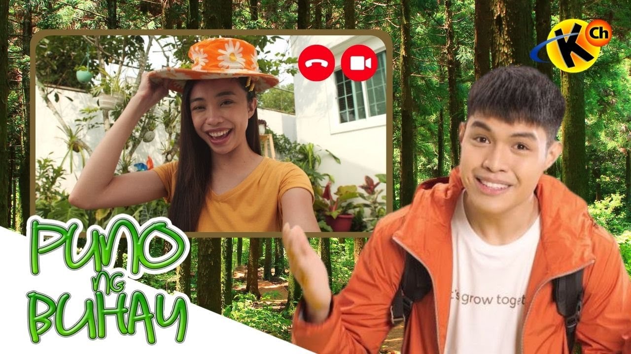 Tropical Rainforests | Puno ng Buhay