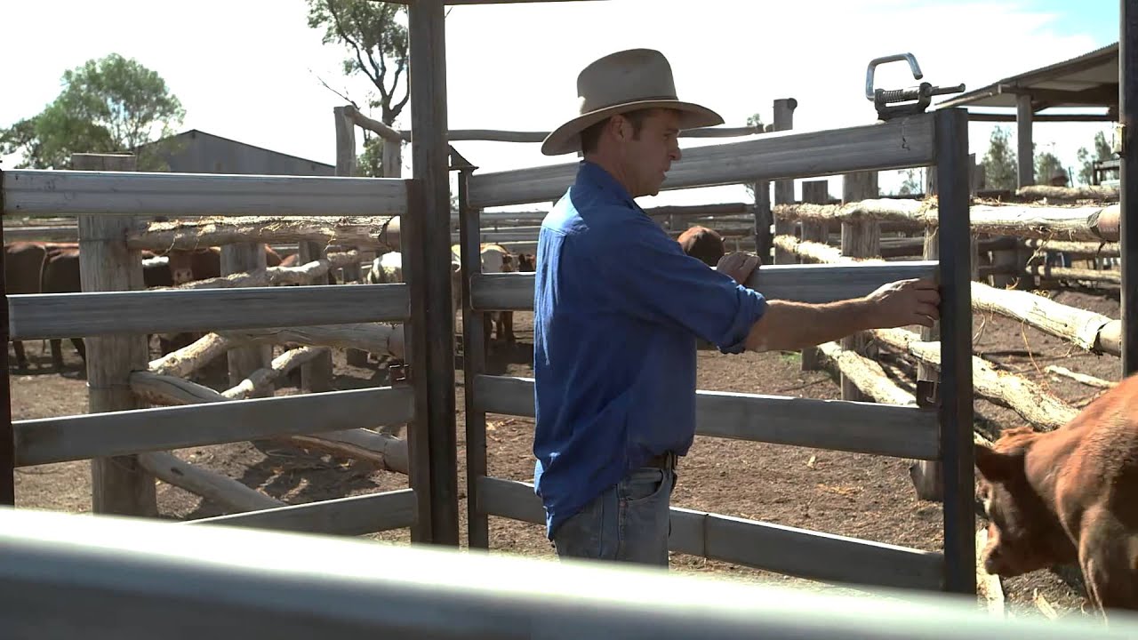 Checking in with the Weeroona Feedlot Family (Winter Episode)