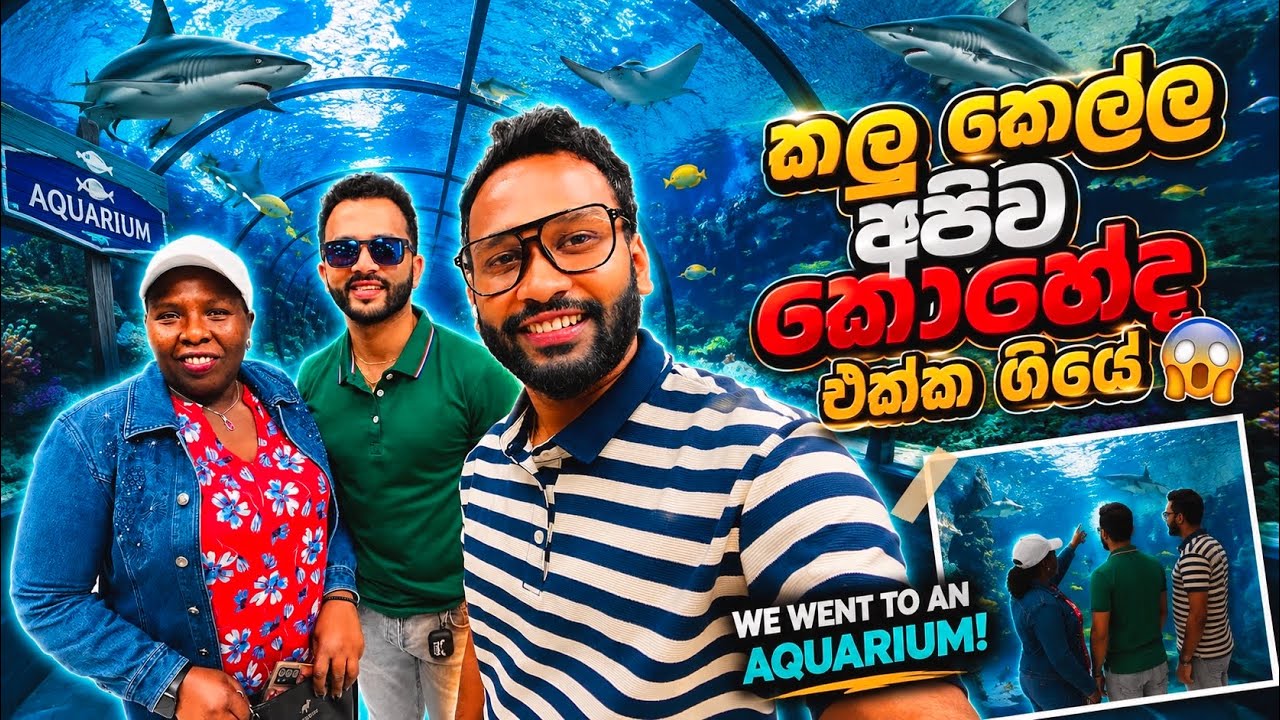 කාන්තාරේ මෙහෙම තැනක්😱🪸| කලුකෙල්ල අපිව එක්ක ගියපු ගමන | Hamad Port Visitors Centre & Aquarium