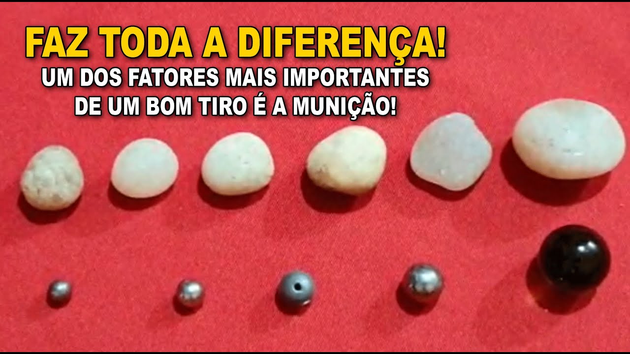 FAZ TODA A DIFERENÇA! Escolher a munição correta é a chave - Portal do Estilingue com Ailton Bonassa