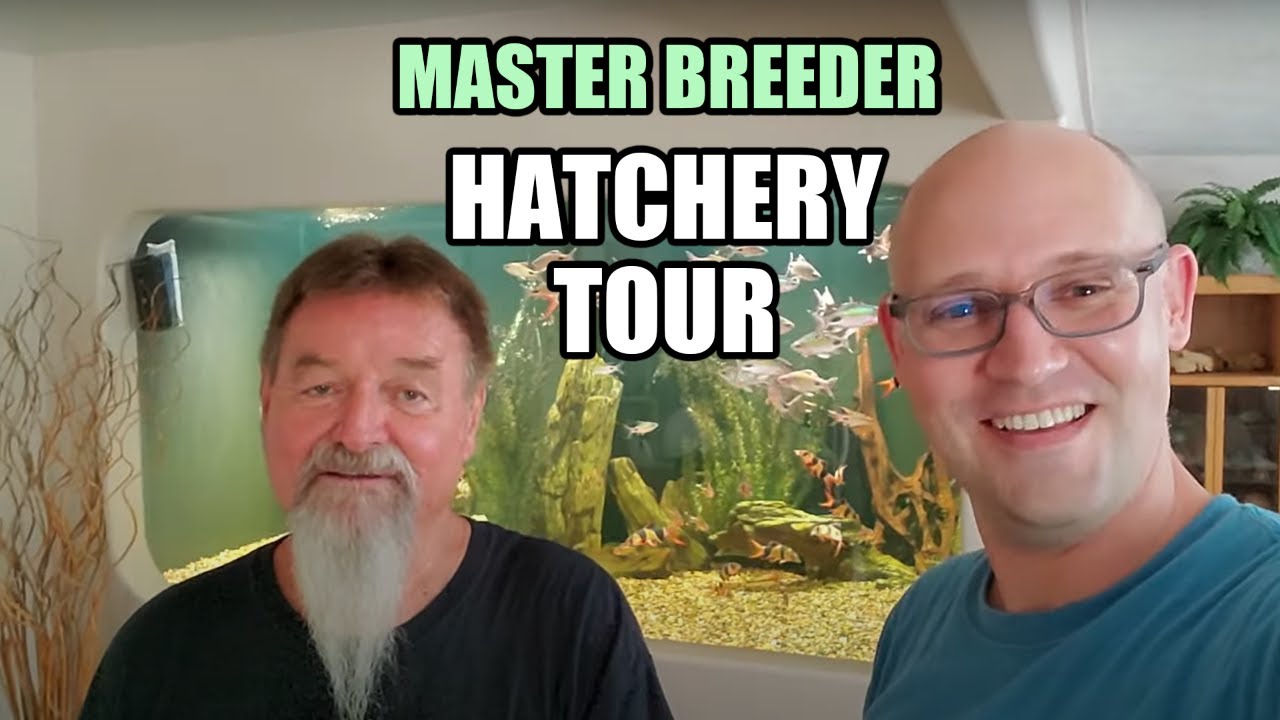 OG Private Fish HATCHERY Tour