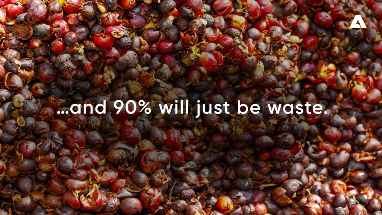 Turn your waste into a real gold mine with ANDRITZ Turbex disruptive extraction process