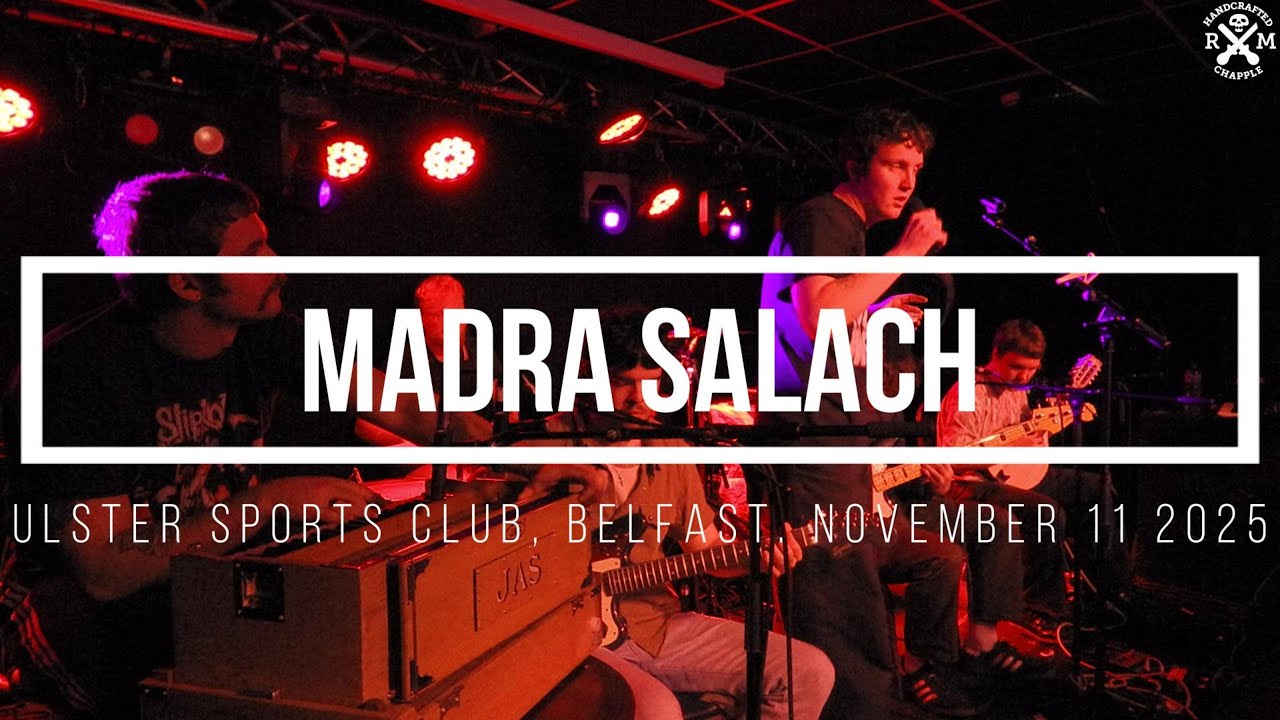 Madra Salach. Ulster Sports Club, Belfast. November 11 2025