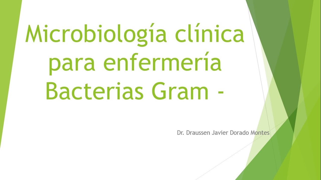 gram negativas