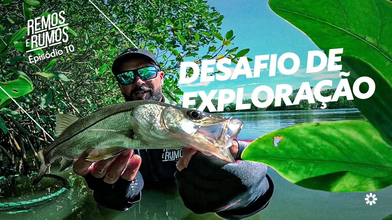 ENTROU NA ÁGUA ATÉ A CINTURA POR ELES!  Os Robalos-Flecha de Cananéia