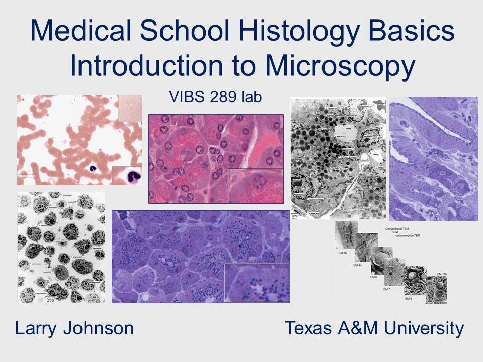 Medical School Histology Basics - Introduction to Microscopy