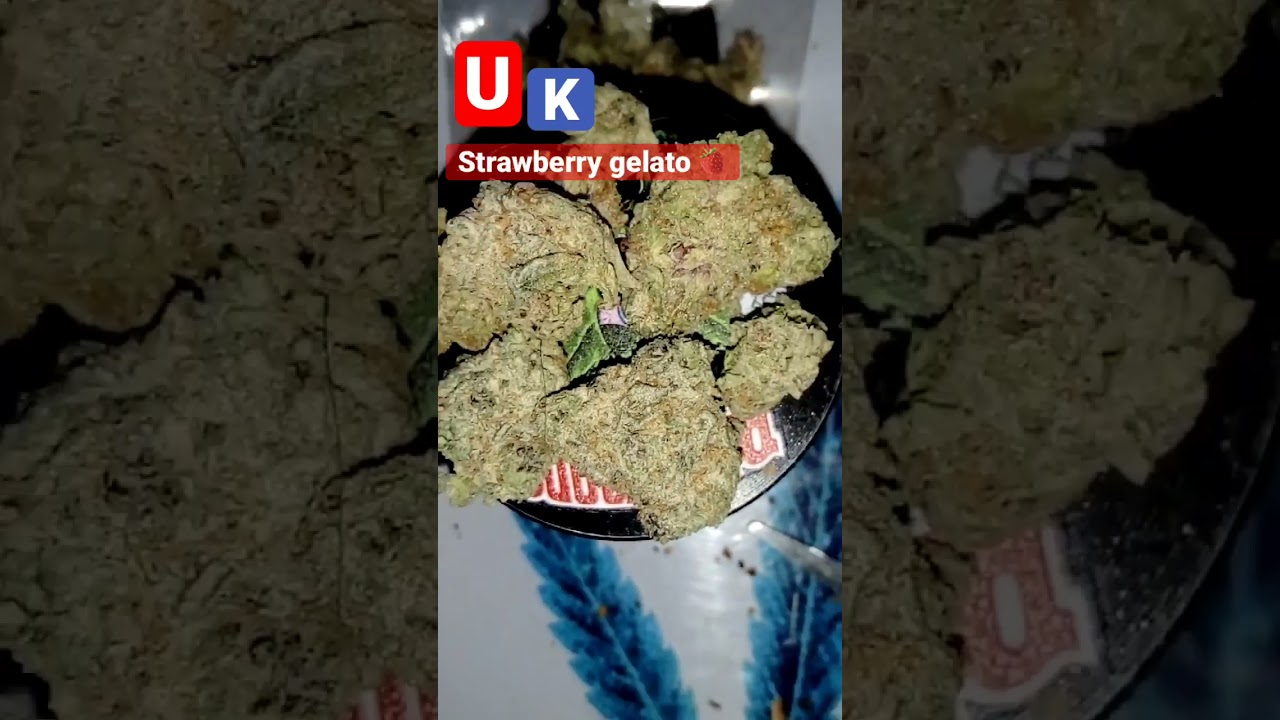Strawberry gelato uk 🍓 #weedreview #fyp #shorts #greenteam #rapperweed #weed #gas #cali #bud