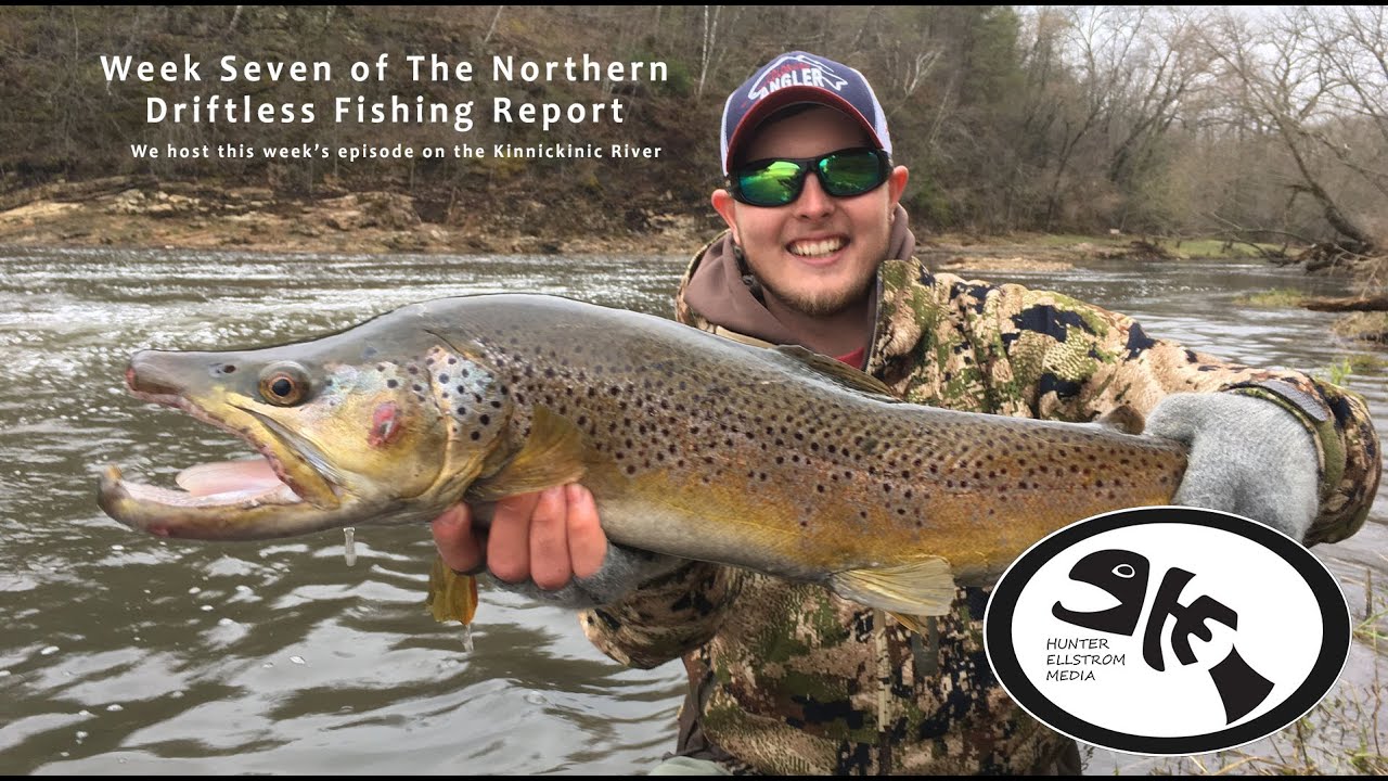 Wisconsin Northern Driftless Trout Fishing Report 