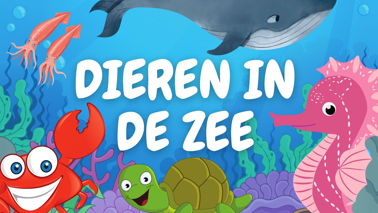 Dieren in de zee - Leer alle vissen en dieren die in het water leven - Woordjes leren