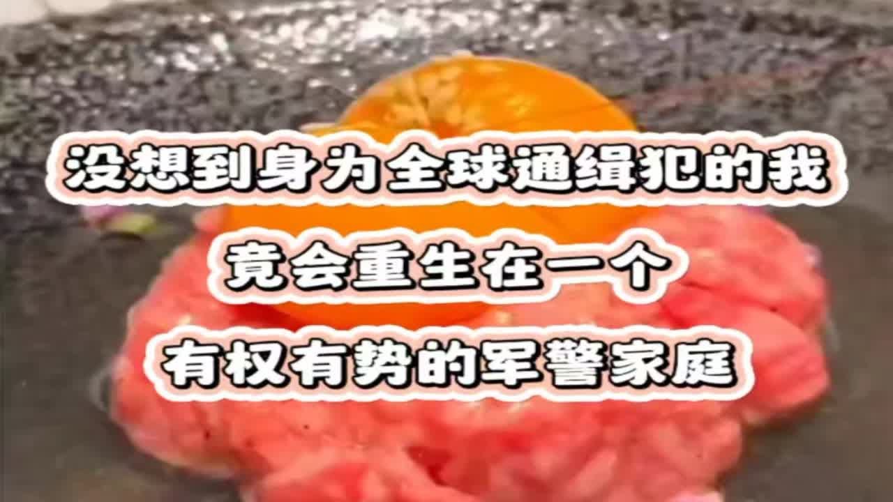 没想到身为全球通缉犯的我，竟会重生在一个有权有势的军警家庭
