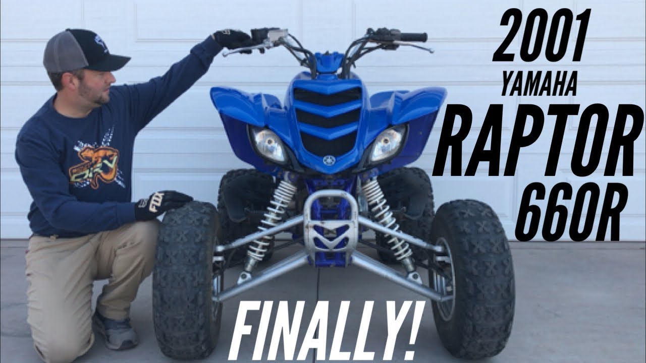 RAPTOR 660R — мы купили такой! (Видео №1)