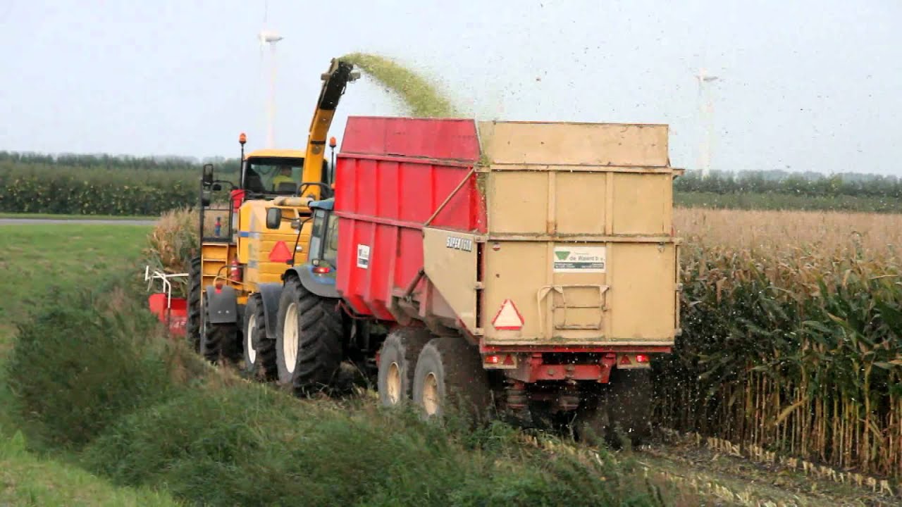 Maishakselen 2011 New Holland FX50 - Loonbedrijf De Waard bij Biddinghuizen / Maize 2011