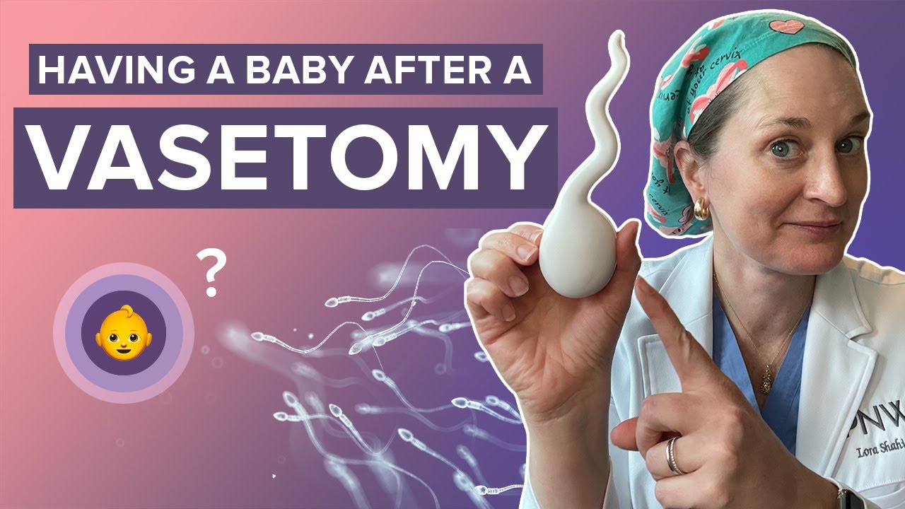 Get Pregnant After Vasectomy: Your Options Explained - Dr Lora Shahine