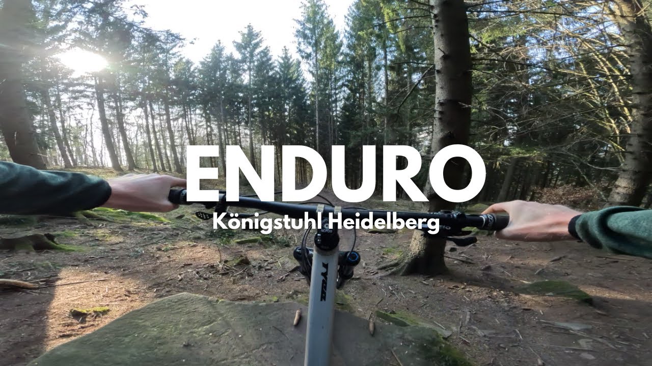 Enduro MTB at Königstuhl Heidelberg | 4K UHD 2025