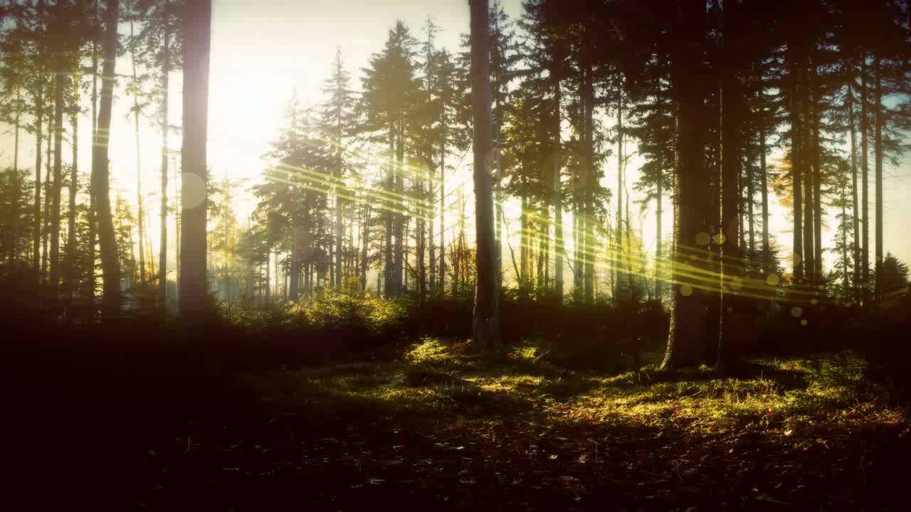 DoubleV - Pangeea (N&R Project Remix)