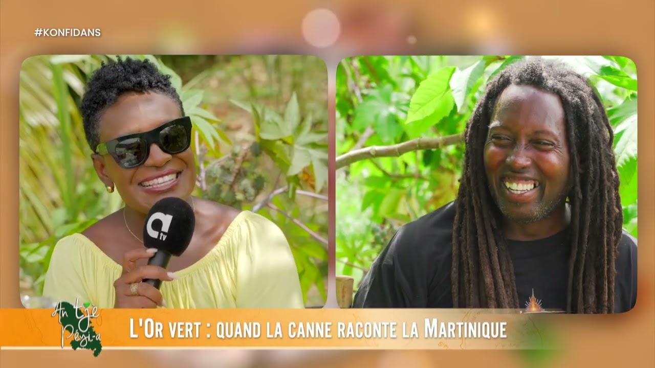 AN TJÈ PÉYI A - L'OR VERT : QUAND LA CANNE RACONTE LA MARTINIQUE
