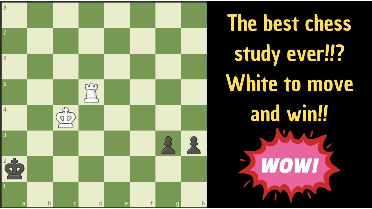 Best chess study ever!