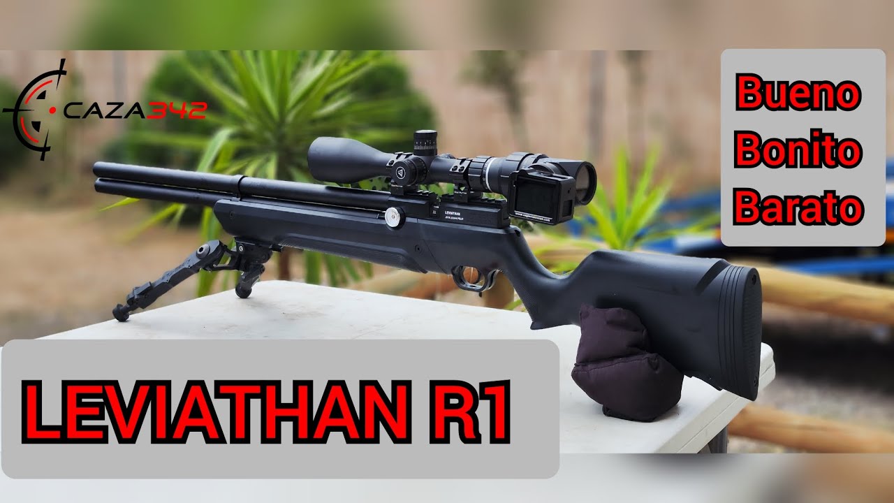 LEVIATHAN R1 / DIFERENCIAS CON R2 Y AGRUPACION