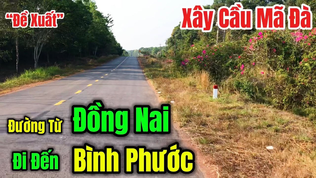 Cận Cảnh Con Đường Đẹp Như Tranh Vẽ Kết Nối Tỉnh Đồng Nai Với Tỉnh Bình Phước Tại Cầu Mã Đà