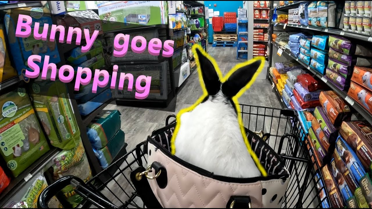 BUNNY Goes Shopping!!!