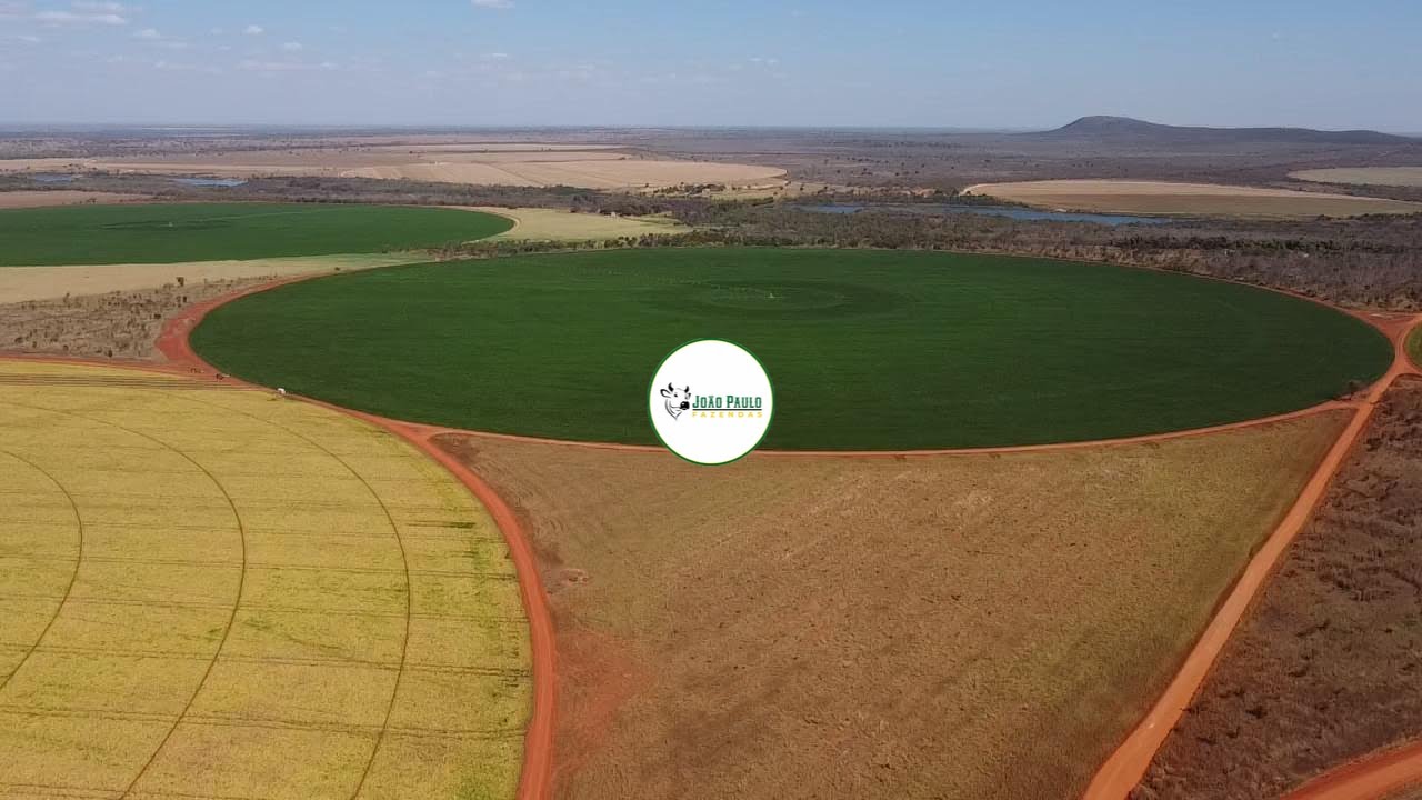 FAZENDA A VENDA ENTRE RIBEIROS PARACATU-MG - 281 HECTARES