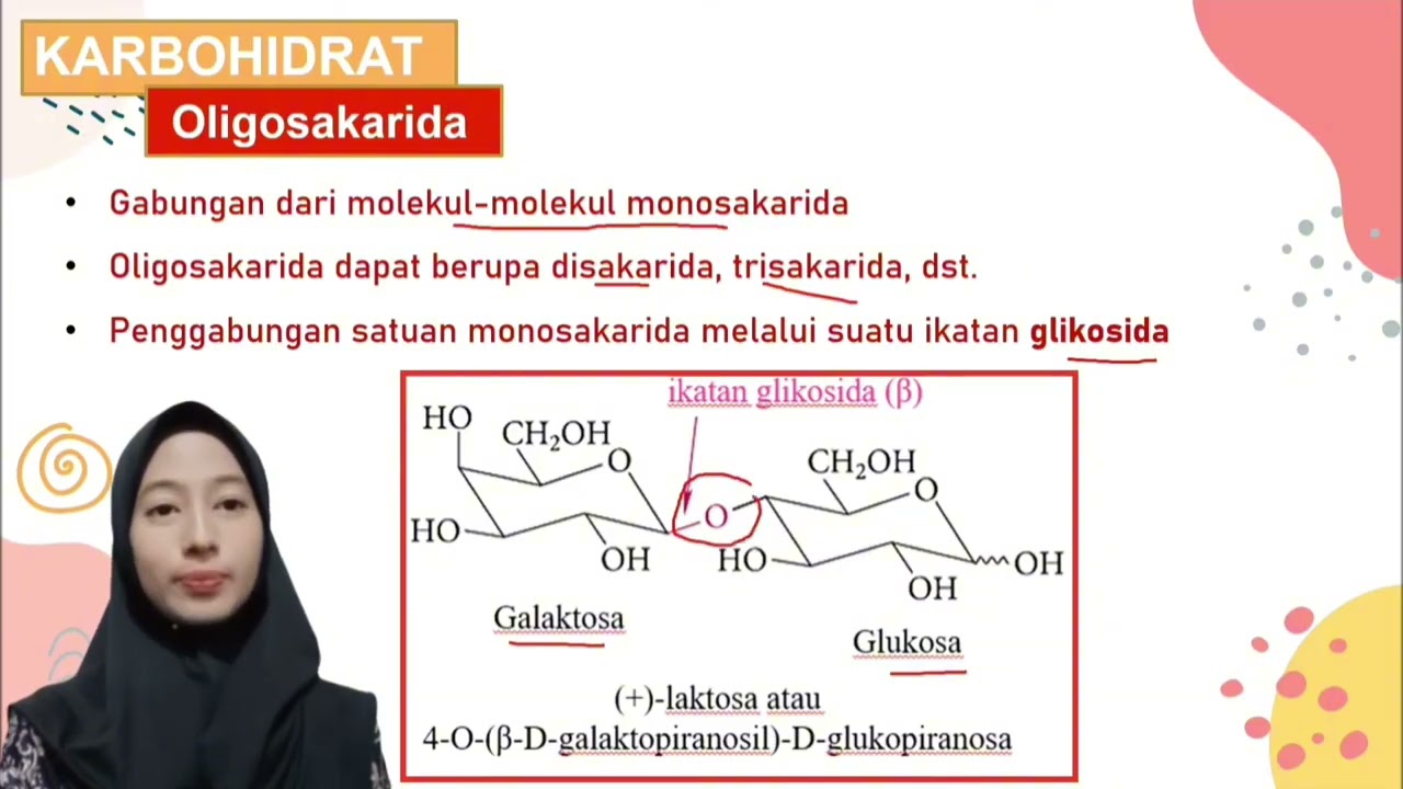 MAKROMOLEKUL (KARBOHIDRAT) 