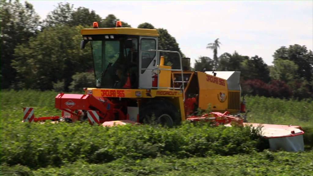 kuhn megacut jaguar 965 by carpi