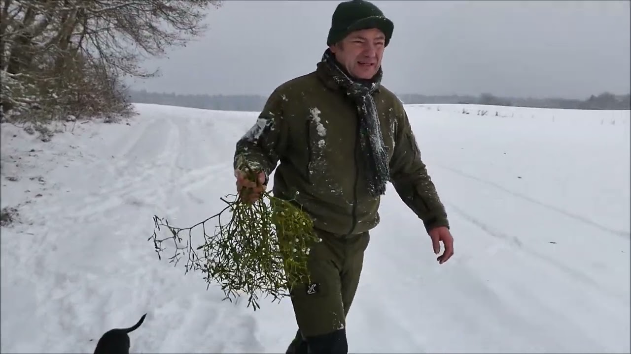 Příběh z 