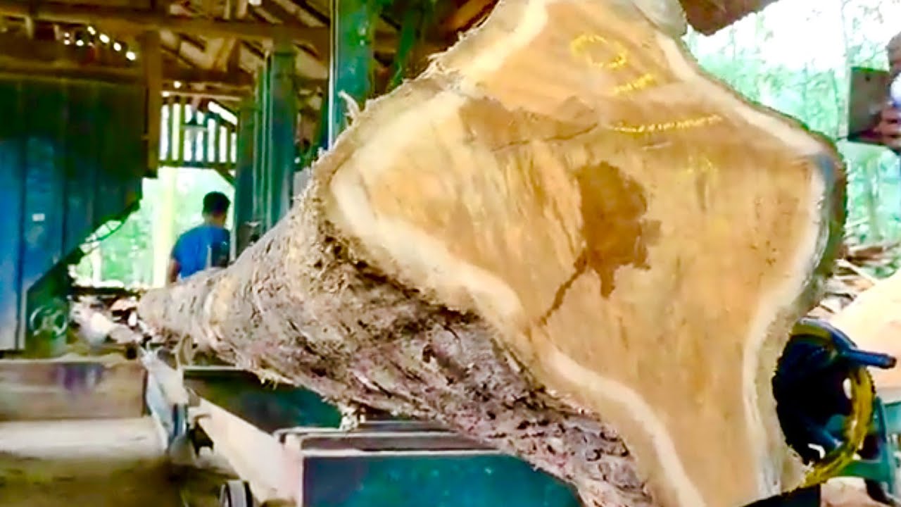 🌲Самый длительный процесс распиловки тикового дерева на Земле🌲