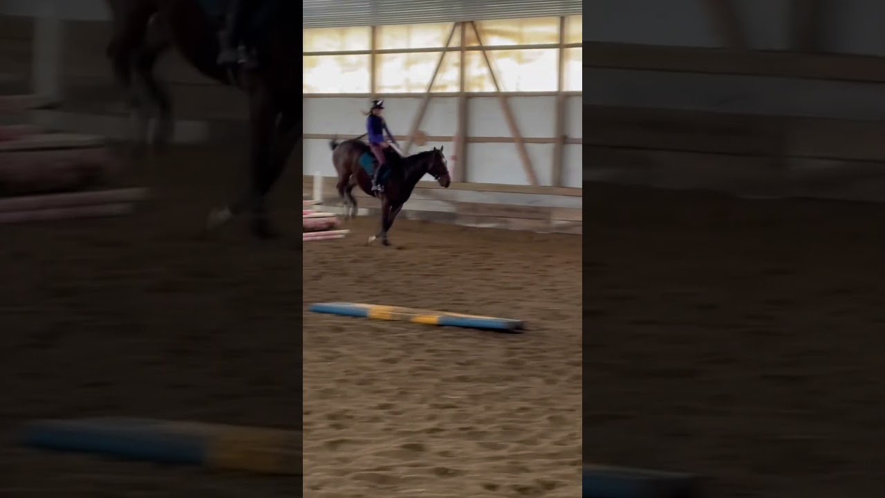The hat was for heathers birthday hehe#equestrian #horse #horseriding #foryou #horsejumps #equine