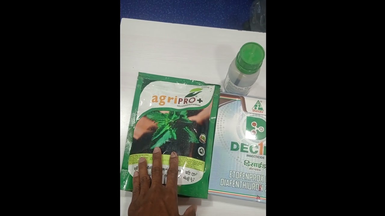 Decide Best Combinations Mandhulu