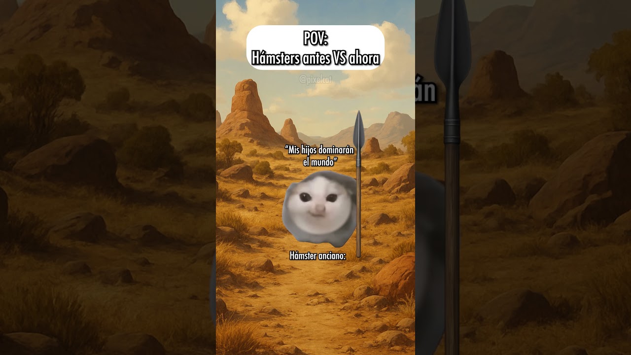 Hámsters antes VS ahora 🐱 