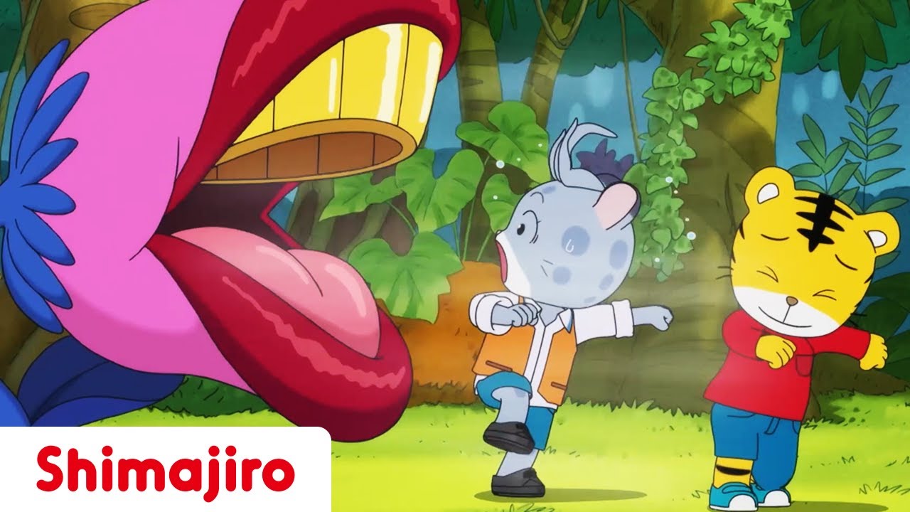 A Wild Visit to the Forest 🌳 | Friendship | 24 Minute Compilation | Kids video for Kids | Shimajiro
