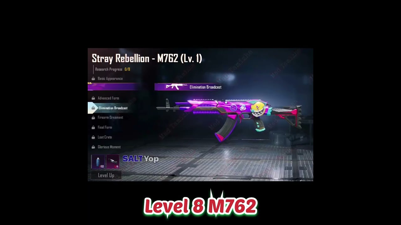 STRAY REBELLION M762 Full Form - Level 8 - Pubg