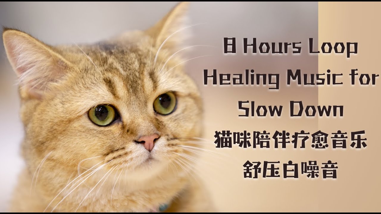 No Ads | Healing Music For Lonely TImes | Loop｜孤独的陪伴治愈繫放鬆輕音樂靜心專注不焦慮｜貓咪應激舒壓必听