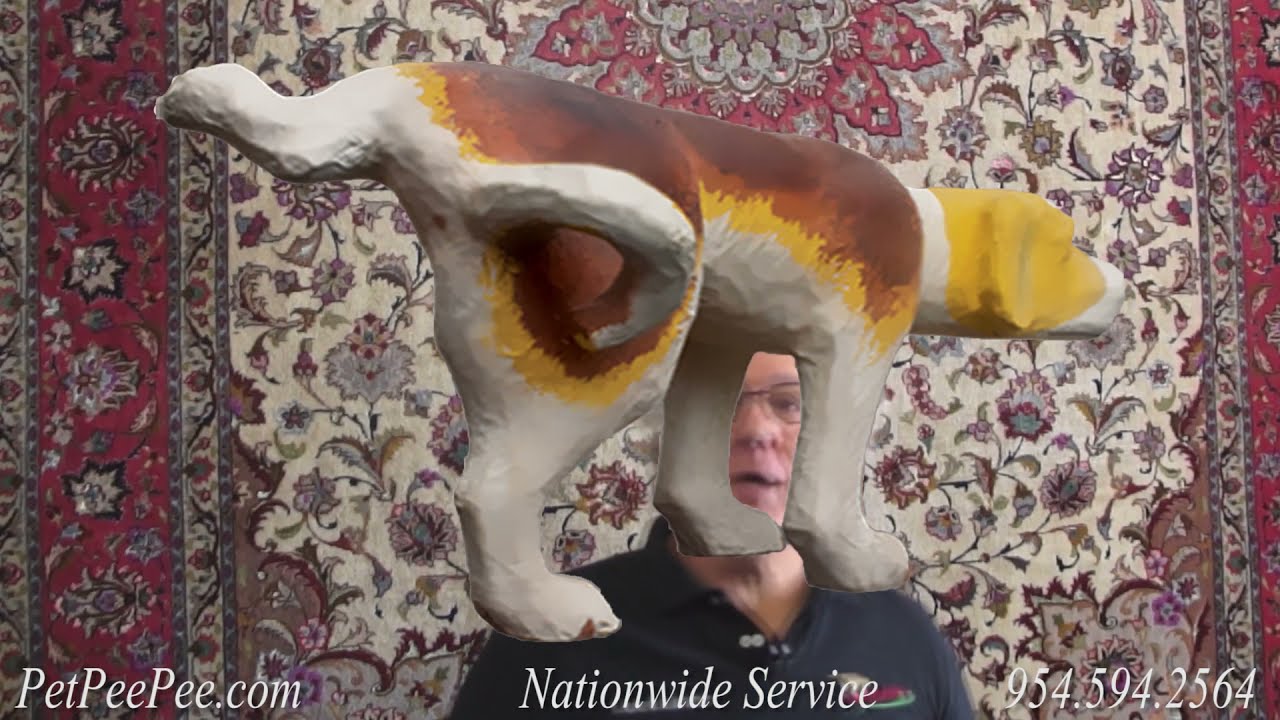 Ask PetPeePee company: Rug cleaning tips for food and drink spills on a Persian carpet